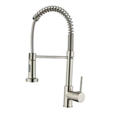 Maxbell Kitchen Faucet Decorative Replacement Double Mode Setting for Office Home RV Wire drawing