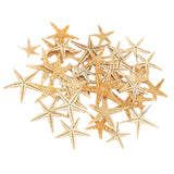 Maxbell Natural Starfish Seashells Wedding Display Craft Aquarium Decorations