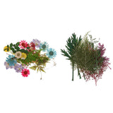 Maxbell 54pcs Natural Pressed Dried Flowers and Leaves Art Craft Supplies Decors