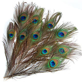 Maxbell 20 Pcs Peacock Ostrich Eye Tail Feathers for Craft Mask Hat 9-13 Inch