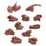 Maxbell 20x Vivid Dinosaur Skull Model Dinosaur Decor Desktop Display Decorative