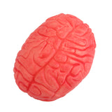 Maxbell Scary Haunted House HUMAN BRAIN Organ Body Part Halloween Horror Prop -Red