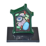 Maxbell Plant Cell Model Versatile Teaching Aid Plant Cell Anatomy Model for Display