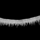 Maxbell 1 Yard Rooster Feather Fringe Trim for Sewing Costume Crafts White