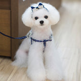 Maxbell Maxbell Pet Dog Traction Rope Lead Leash Collar Harness Strap Headband S BLU Floral