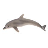 Maxbell Maxbell Kids Story Telling Animal Figure Showcase Display Model Educational Toy - Dolphin