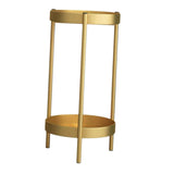 Maxbell Plant Stand Double Tier Carbon Steel Sturdy Flower Stand for Bedroom Kitchen Gold