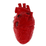 Maxbell HUMAN HEART--Chop Shop Body Part Organ Halloween Horror Prop Decorations