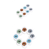 Maxbell New 4 Color 8pcs 5mm Oval Hollow Back DIY Plastic Eyes Doll Mask+8pcs 6mm Eyes