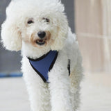 Maxbell Maxbell Pet Dog Puppy Soft Mesh Adjustable Harness Clothes Size S - Blue