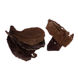 Maxbell PACK 20 Indian Almond Leaves Beneficial Leaf for Shrimps Betta Tropical Fish