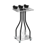 Maxbell Salon Tray Cart on Wheels Hairstylist Hairdresser Professional Salon Trolley clear