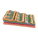 Maxbell Geological Folding Model 3D Educational Instrument for School Students Class