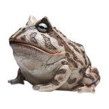 Maxbell Frog Figurine Landscape Funny Animal Sculpture for Patio Countertop Tabletop Gray