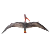 Maxbell Maxbell Realistic Cretaceous Pteranodon Model Toy Action Figure Kids Zoo Collections