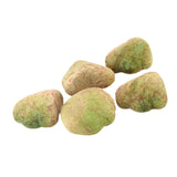 Maxbell 5Pcs Fake Rocks Diorama Faux Rocks for Yard Floral Arrangements Fairy Garden C