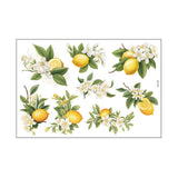 Maxbell Lemon Leaf Wall Stickers Ornament Wallpaper for Office School Restroom