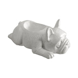 Tabletop Animal Planter Pot Holder Bonsai Pots Cute for Home Office Decor