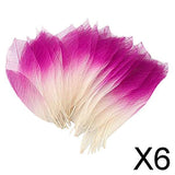 Maxbell 6x50Pcs Natural Magnolia Skeleton Leaf Leaves Card Scrapbook - Pink White