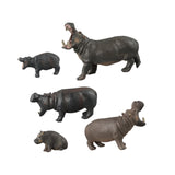 Maxbell 5 Pieces African Hippopotamus Birthday Gift Educational Toy Animals Figurine