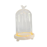 Maxbell Glass Cloche Dome Party DIY Micro Landscape Holder Clear Bell Jar 10x16cm Bird