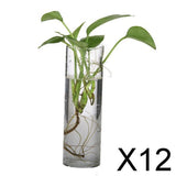 Maxbell 12xGlass Hydroponic Pot Flowers Vase Fairy Garden DIY Terrarium Container J