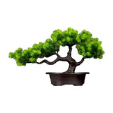 Maxbell Artificial Bonsai Tree Desk Display Plants Indoor for Desk Living Room Table Longevity pine