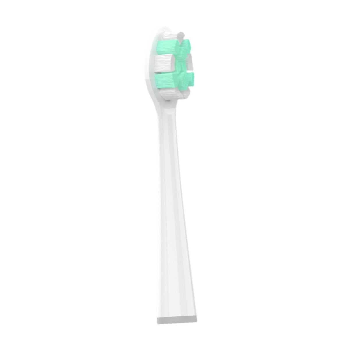 Maxbell Electric Toothbrush Replacement Head Soft Personal Brush Heads Refill for Y1 White Green
