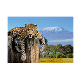 Maxbell Maxbell Aquarium 3D Single-sided Adhesive Background Sticker Decoration 122x61cm