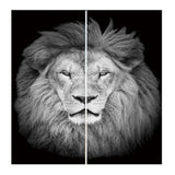 Maxbell Set of 2 Panels Digital Photo Printing 3D Curtains Aminals Gray Lion - Aladdin Shoppers