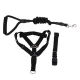 Maxbell Maxbell Pet leash with chest strap collar three-piece Black L