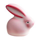 Maxbell Ceramic Rabbit Figurine Souvenir Bunny Statue for Desktop Bedroom Decoration
