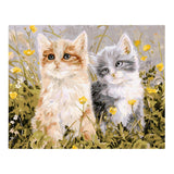 DIY Oil Painting Paint by Number Kit for Adults Kids Drawing with Brushes Paint Home Wall Decoration - Cute Cats, 40x50cm - Aladdin Shoppers