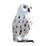 Maxbell Owl Statue Decoration Collection Funny Owl Figurine for Home Patio Fireplace Style B
