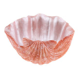 Creative cartoon Vivid Shell succulent plant landscape resin flowerpot - Aladdin Shoppers