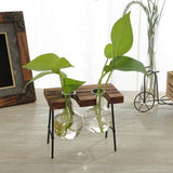 Maxbell Vintage Stool Shaped Wooden Tray Hydroponic Flower Glass Vase 2 Beakers