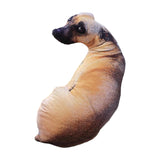 Maxbell 3D Simulation Dog Plush Pillow Stuffed Animals Plush Toy for Office Car Sofa