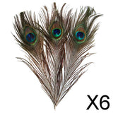 Maxbell 6x10 Pcs Peacock Eye Tail Feathers for Craft Mask Hat 9-13 Inch