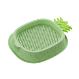 Maxbell Cat Grass Planter Soilless Hydroponics Planting Tray for Garden Cat Supplies Green