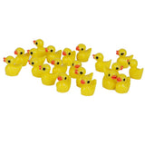 Maxbell 20xMiniature Dollhouse Fairy Garden Micro Landscape Decor - Duck 20pcs