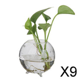Maxbell 9xGlass Hydroponic Pot Flowers Vase Fairy Garden DIY Terrarium