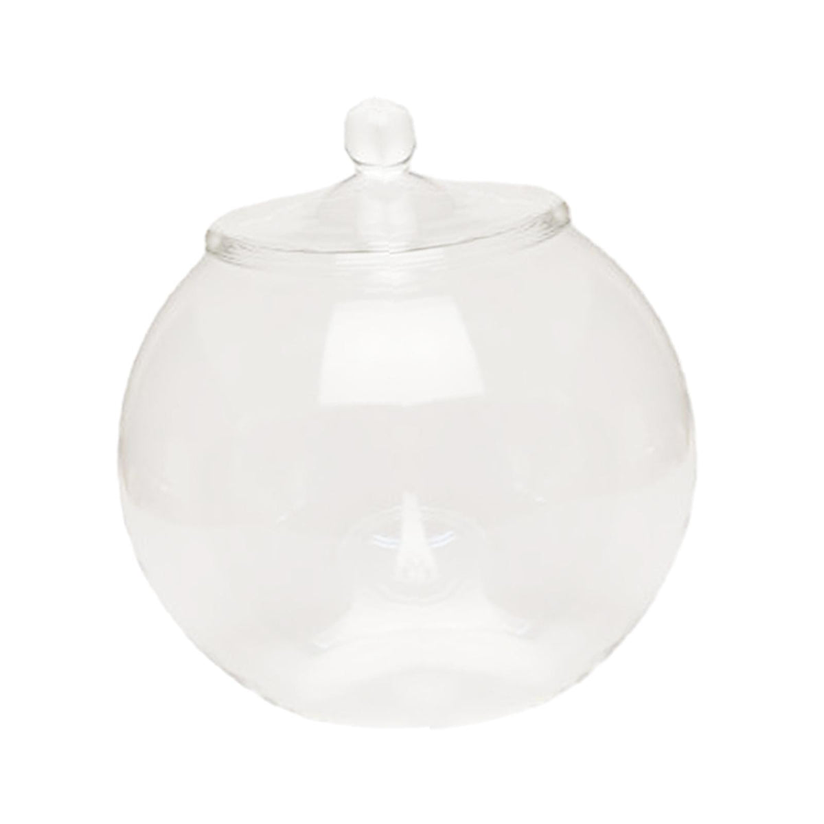 Maxbell Glass Plant Container Plants Glass Terrarium Jar for Kitchen Bedroom Desktop