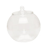 Maxbell Glass Plant Container Plants Glass Terrarium Jar for Kitchen Bedroom Desktop