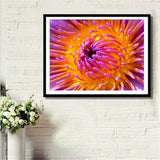 Maxbell Full Drill Flower DIY Diamond Painting Embroidery Cross Stitch Kit Home Decoration 40x30cm - Aladdin Shoppers