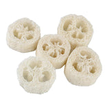 Maxbell Maxbell 5 Pieces Natural Loofah Luffa Pot Bowl Sponge Scrubber for Outdoor Hiking