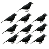 Maxbell 10x Artificial Realistic Woodland Birds for Garden Weding Home Decoration 1#