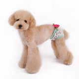 Maxbell Maxbell Pet Dog Puppy Female Sanitary Clothes Physiological Shorts Diaper Blue XL