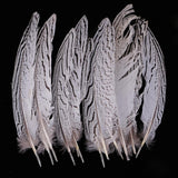 Maxbell 12 Pieces Natural Pheasant Feathers Wing Quill 15 - 20mm for DIY Crafting