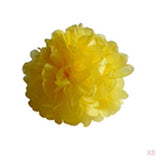 Maxbell 8 Yellow Tissue Paper Pom Poms Flower Ball Wedding Party Xmas Decor 15''/38cm