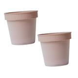 Maxbell Garden Plant Pot Modern Plant Container for Bedroom Living Room Dining Table Pink